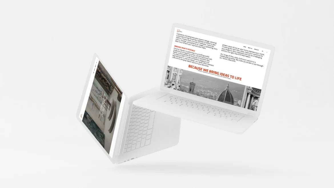 Website developing